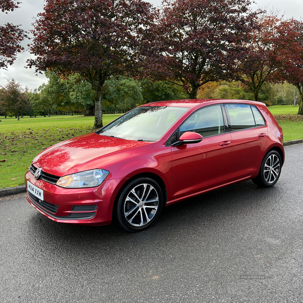 Volkswagen Golf DIESEL HATCHBACK in Tyrone