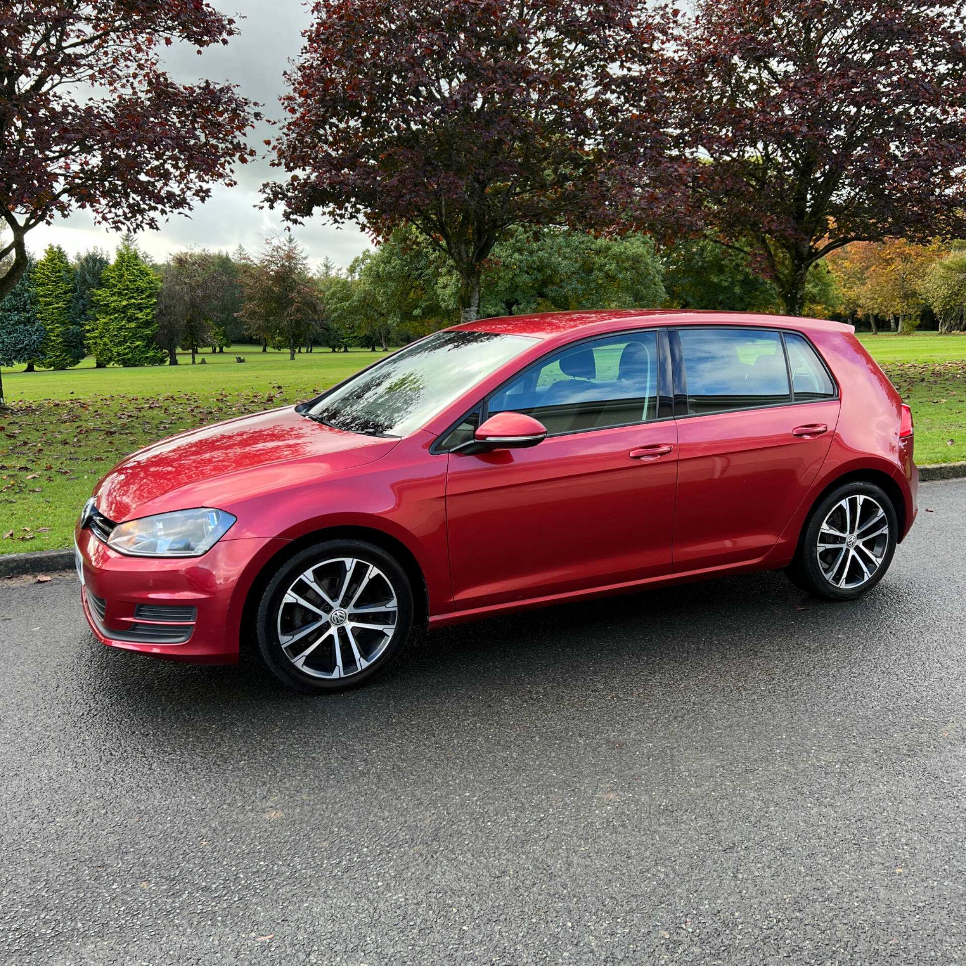 Volkswagen Golf DIESEL HATCHBACK in Tyrone