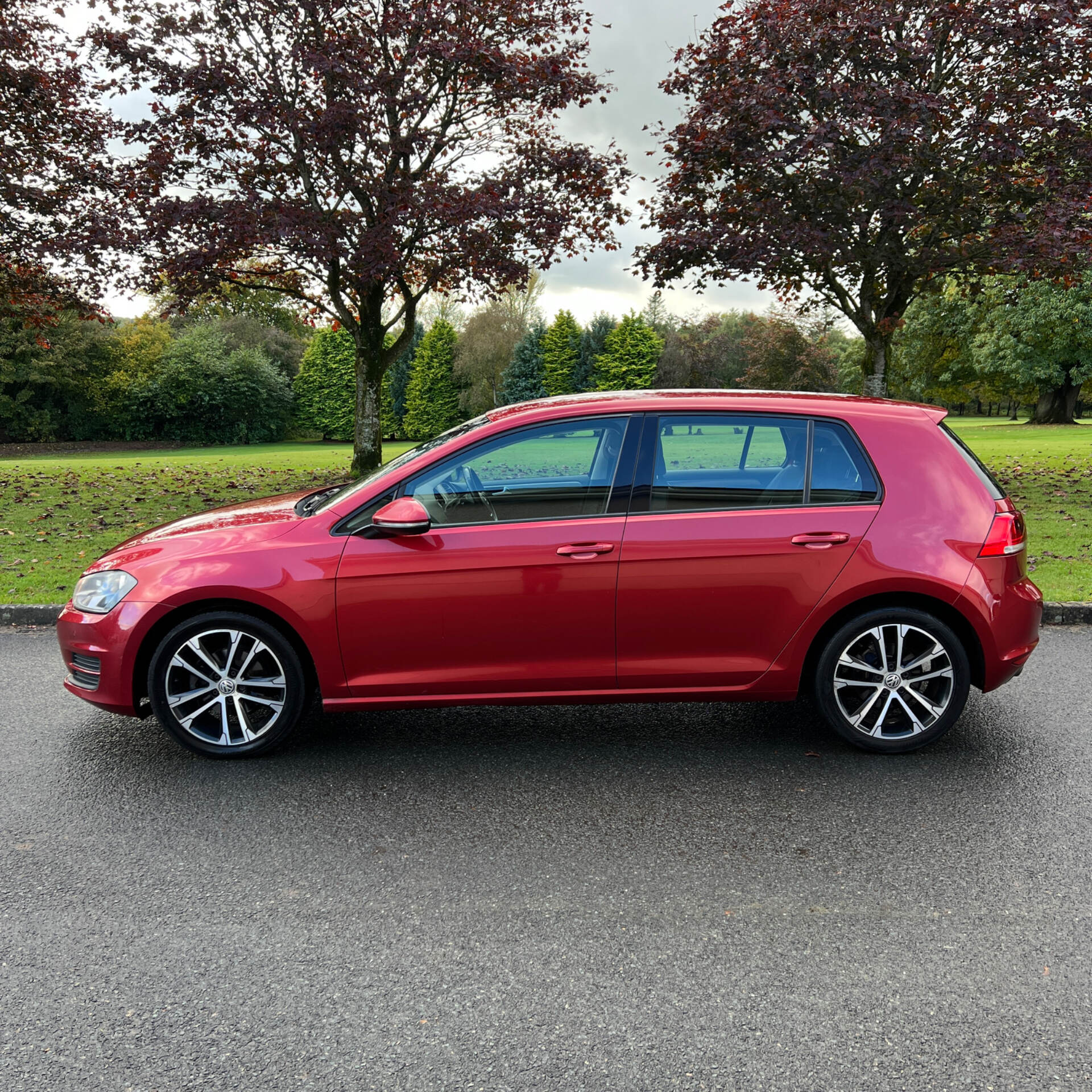 Volkswagen Golf DIESEL HATCHBACK in Tyrone