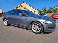 Jaguar XF DIESEL SALOON in Antrim