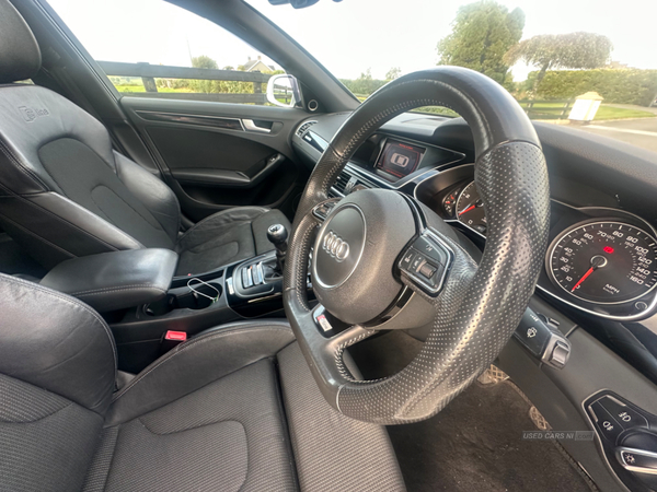 Audi A4 SALOON SPECIAL EDITIONS in Armagh