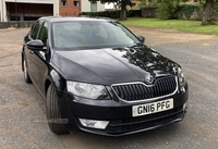 Skoda Octavia 1.6 TDI CR 110 SE 5dr in Antrim