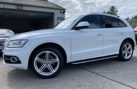 Audi Q5 ESTATE SPECIAL EDITIONS in Down