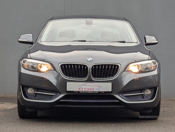 BMW 2 Series DIESEL COUPE in Tyrone