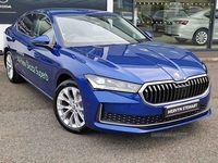 Skoda Superb 1.5 TSI e-TEC SE L 5dr DSG in Down