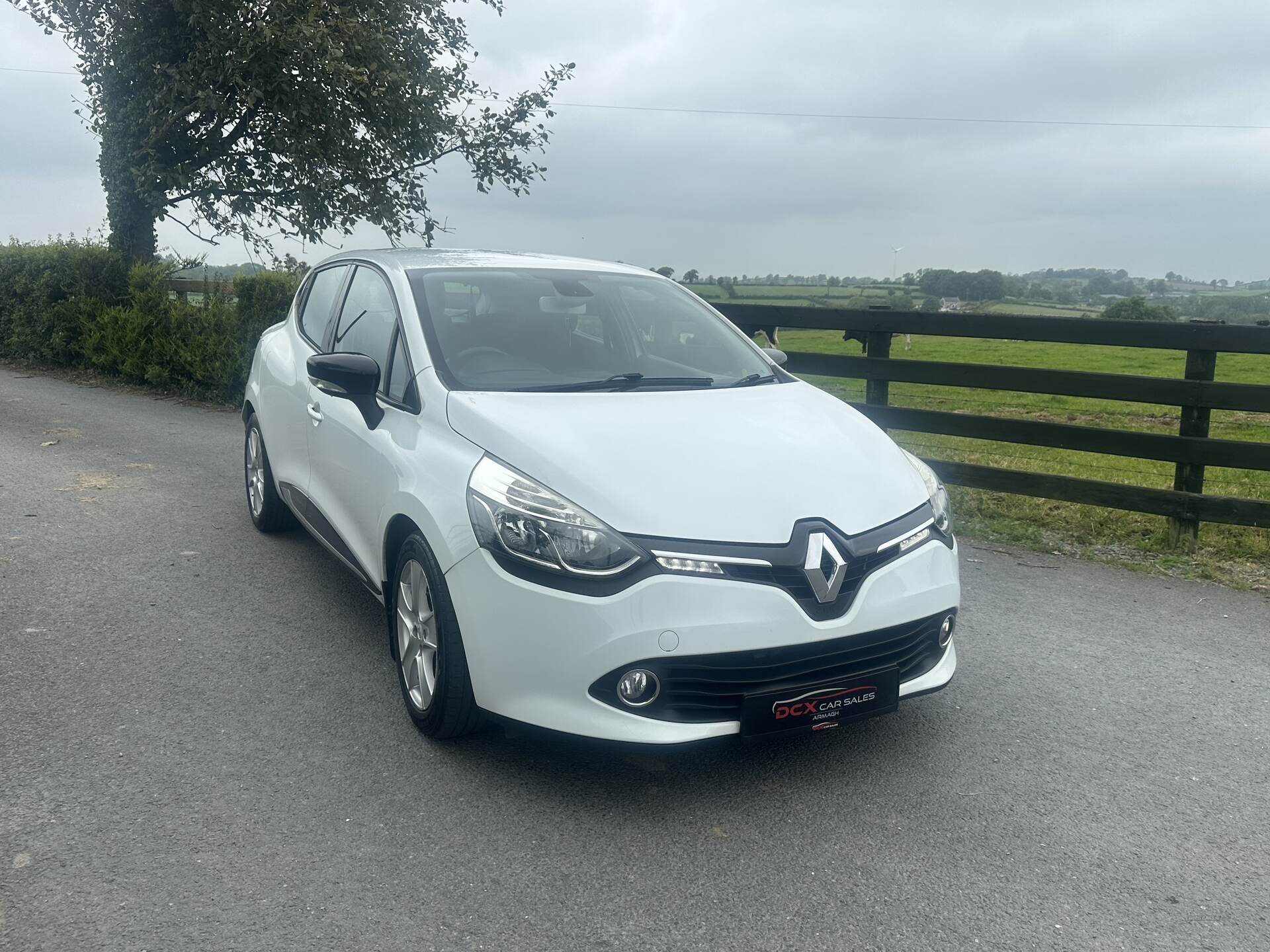 Renault Clio DIESEL HATCHBACK in Armagh