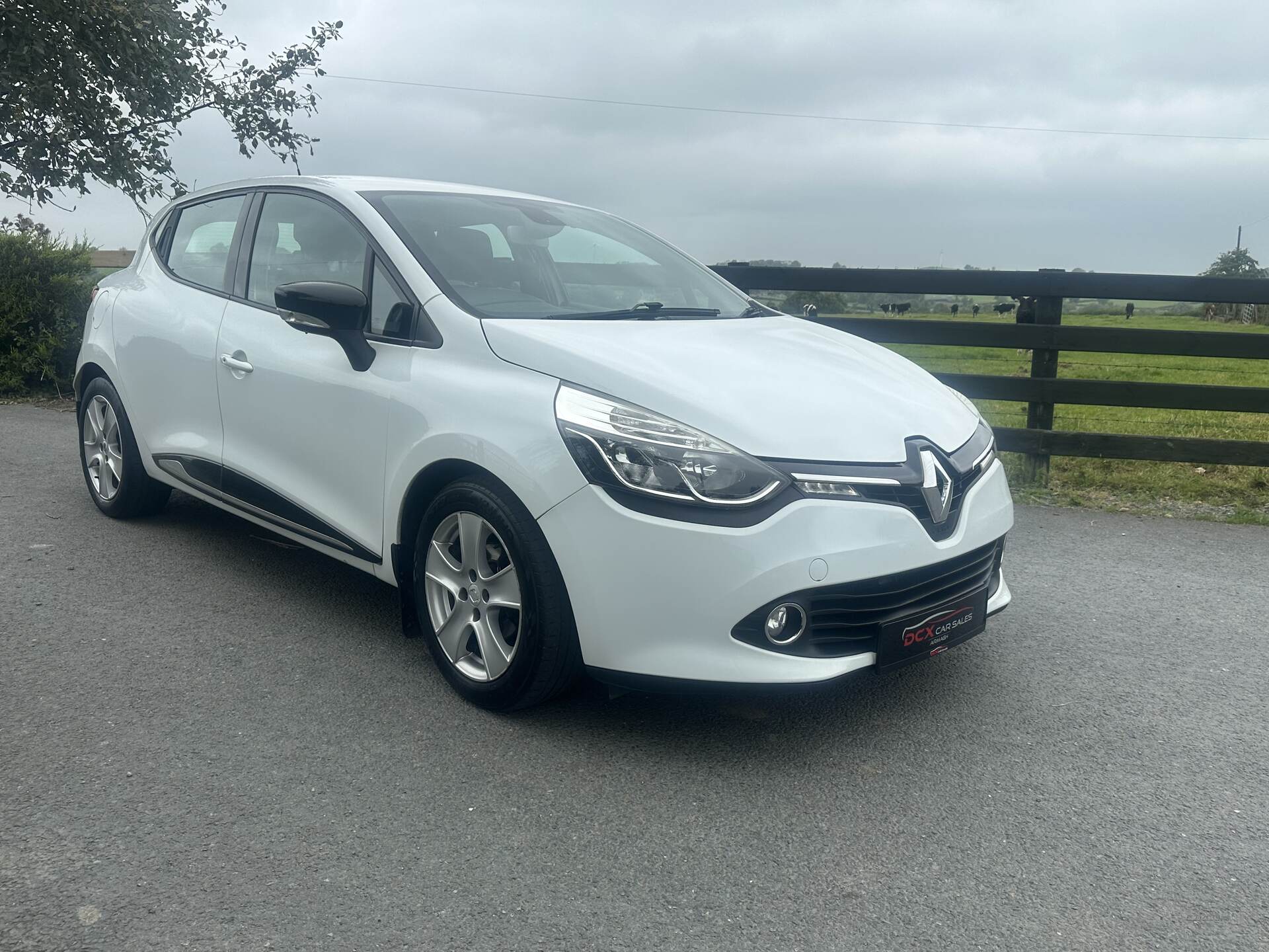 Renault Clio DIESEL HATCHBACK in Armagh