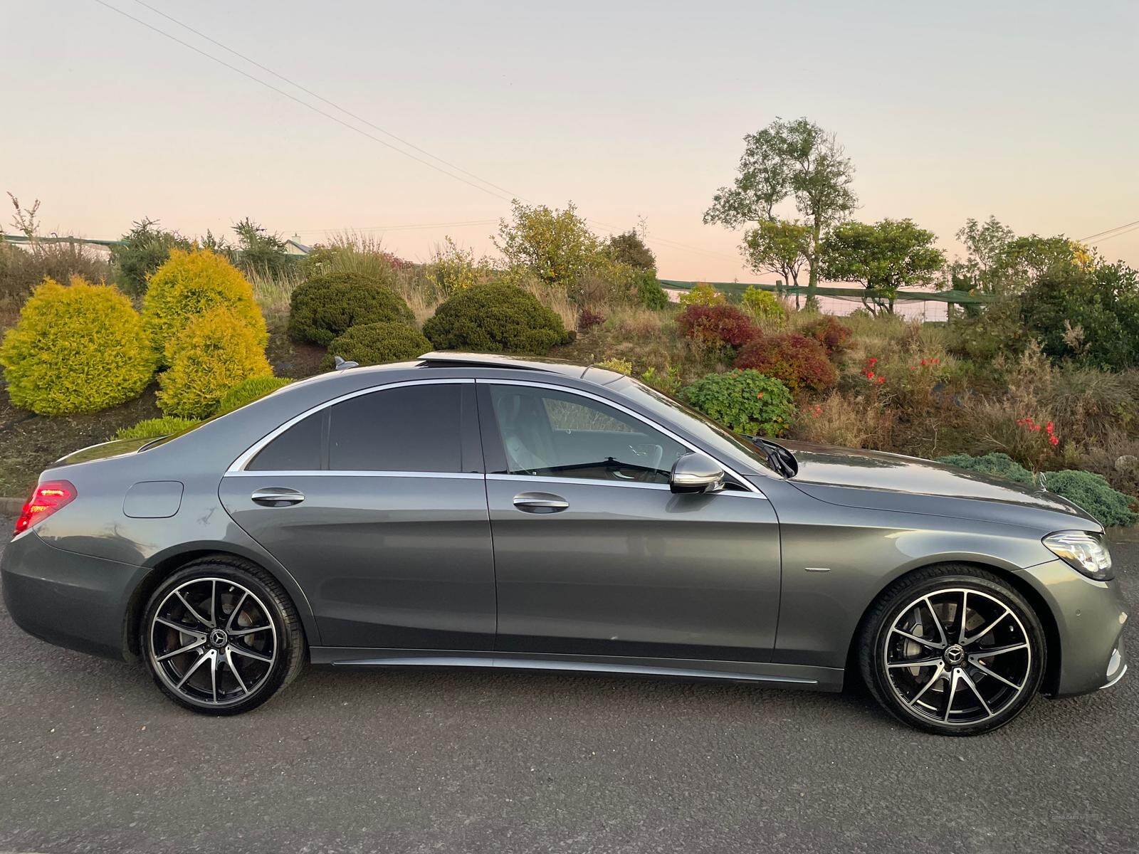 Mercedes S-Class SALOON SPECIAL EDITIONS in Tyrone