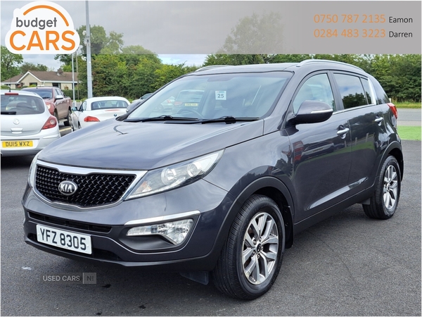 Kia Sportage ESTATE in Down