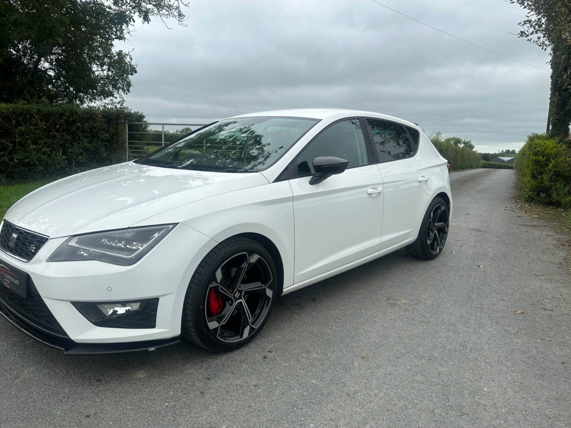 Seat Leon DIESEL HATCHBACK in Armagh