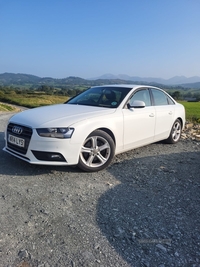 Audi A4 2.0 TDIe SE Technik 4dr in Down