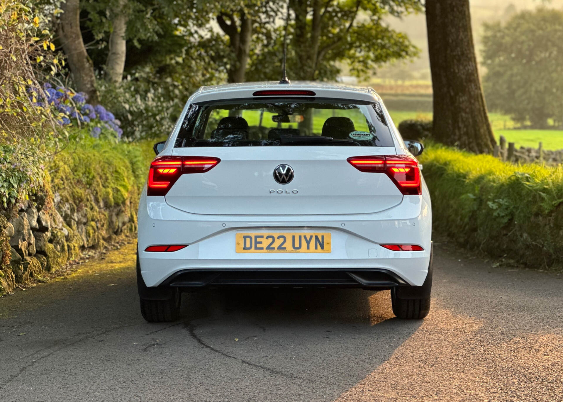 Volkswagen Polo HATCHBACK in Antrim