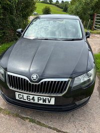 Skoda Superb DIESEL HATCHBACK in Tyrone