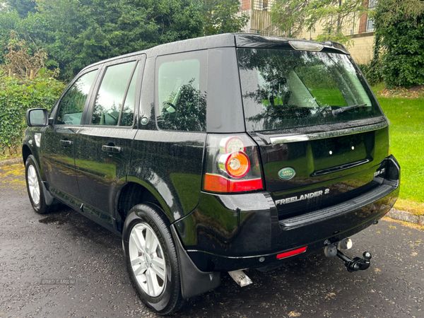 Land Rover Freelander DIESEL SW in Antrim