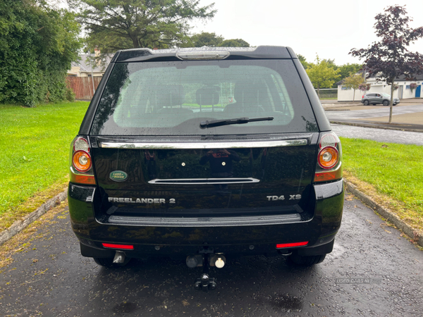 Land Rover Freelander DIESEL SW in Antrim