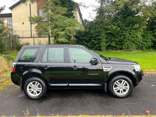 Land Rover Freelander DIESEL SW in Antrim