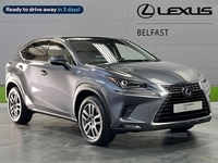 Lexus NX-Series 2.5 5Dr Cvt [Premium Plus Pack/Pan Roof] in Antrim