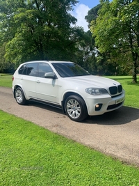 BMW X5 xDrive30d M Sport 5dr Auto in Tyrone