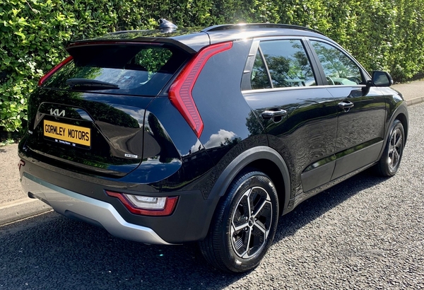 Kia Niro ESTATE in Tyrone