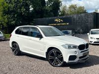 BMW X5 DIESEL ESTATE in Tyrone