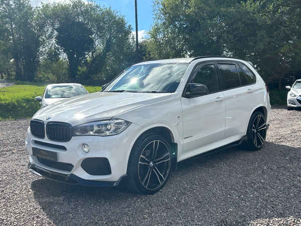 BMW X5 DIESEL ESTATE in Tyrone