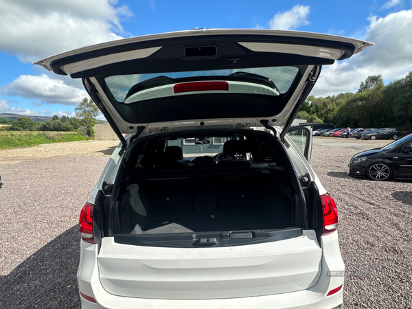 BMW X5 DIESEL ESTATE in Tyrone