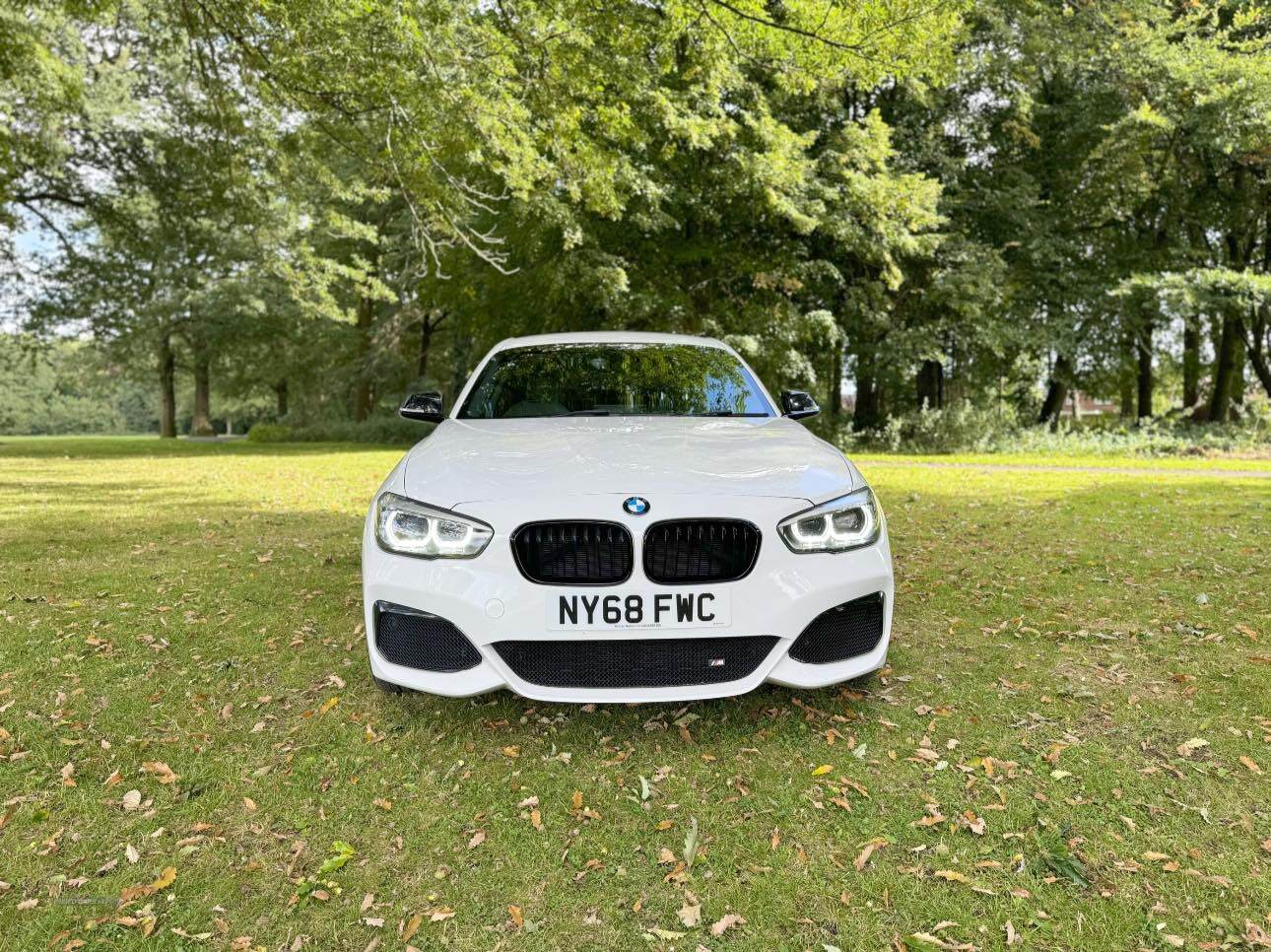 BMW 1 Series HATCHBACK SPECIAL EDITION in Armagh