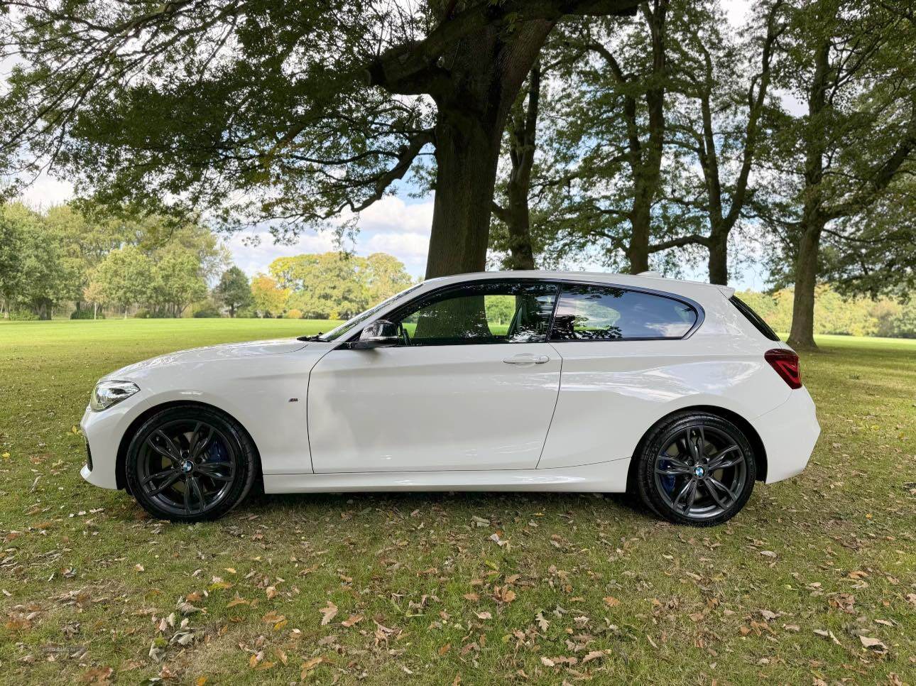 BMW 1 Series HATCHBACK SPECIAL EDITION in Armagh