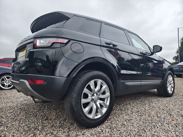 Land Rover Range Rover Evoque DIESEL HATCHBACK in Fermanagh