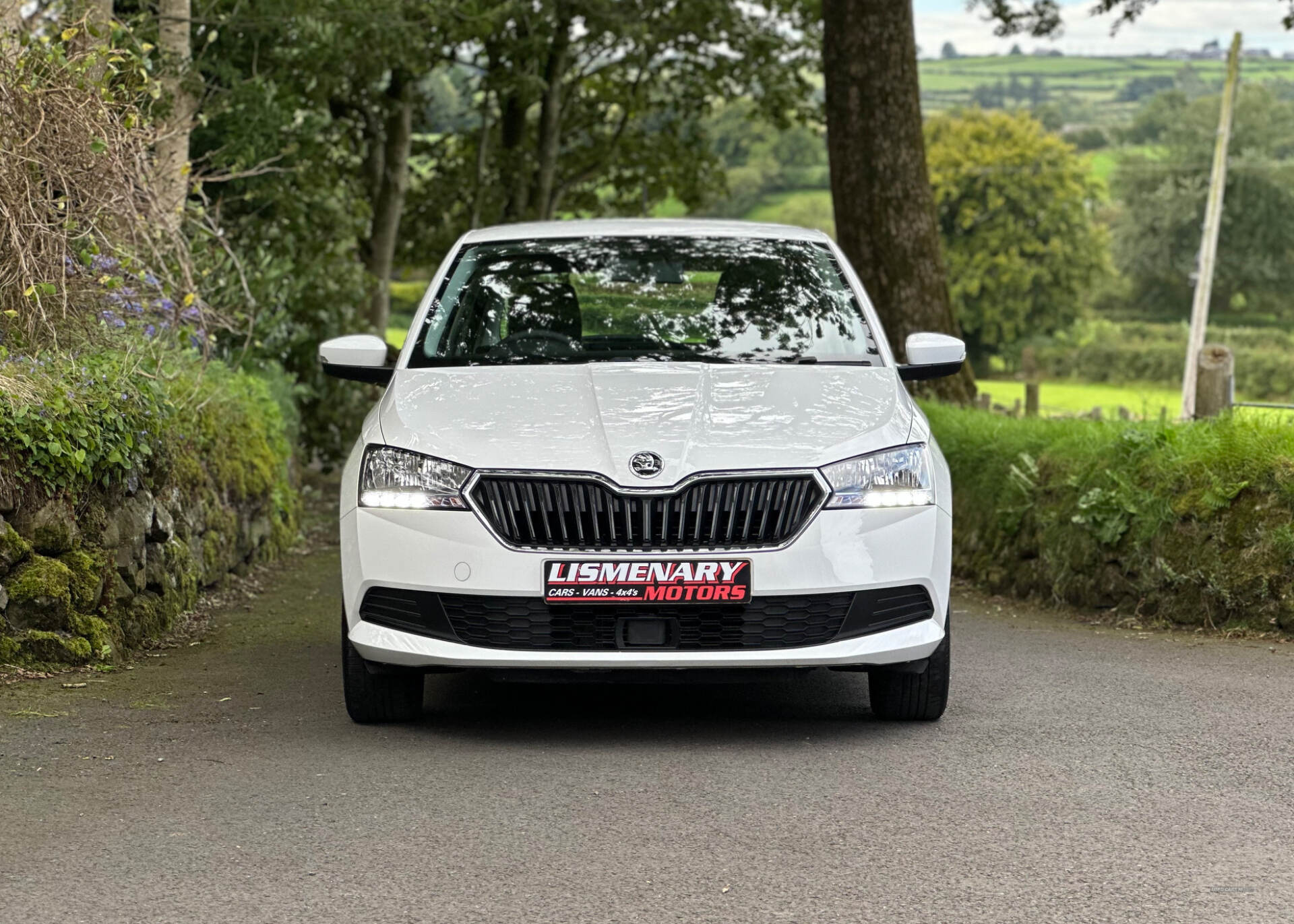 Skoda Fabia HATCHBACK in Antrim