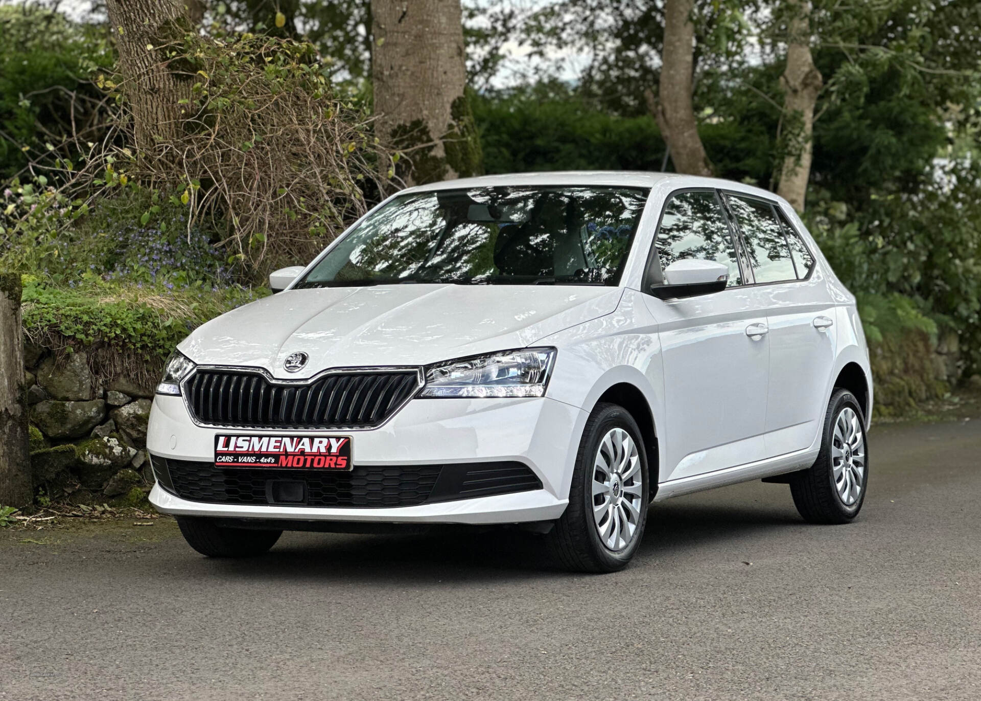 Skoda Fabia HATCHBACK in Antrim