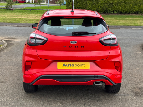 Ford Puma HATCHBACK in Antrim