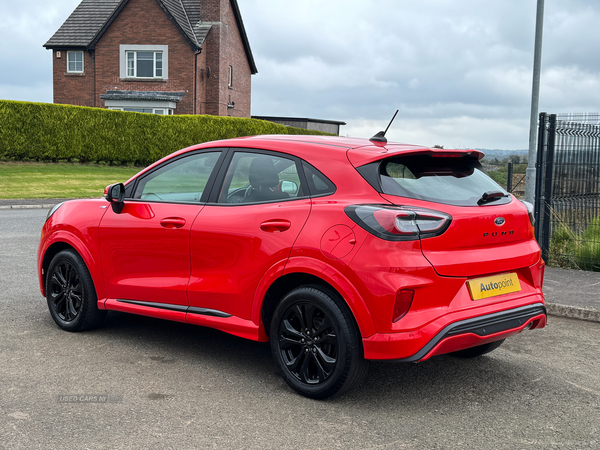 Ford Puma HATCHBACK in Antrim