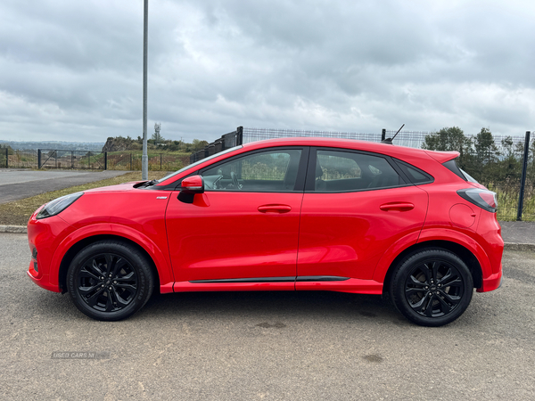 Ford Puma HATCHBACK in Antrim