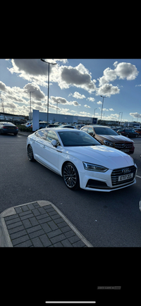 Audi A5 2.0 TDI S Line 5dr in Down