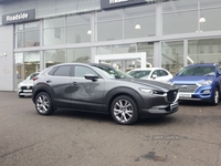 Mazda CX-30 Sport Lux Mhev 2.0 Sport Lux Mhev in Antrim