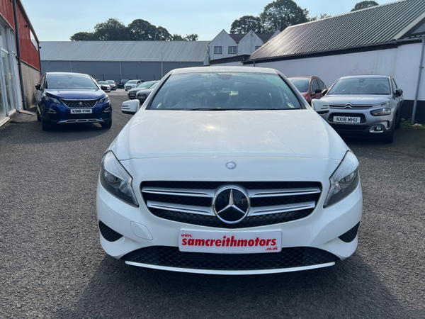 Mercedes A-Class HATCHBACK SPECIAL EDITIONS in Antrim