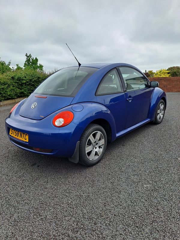 Volkswagen Beetle HATCHBACK in Armagh