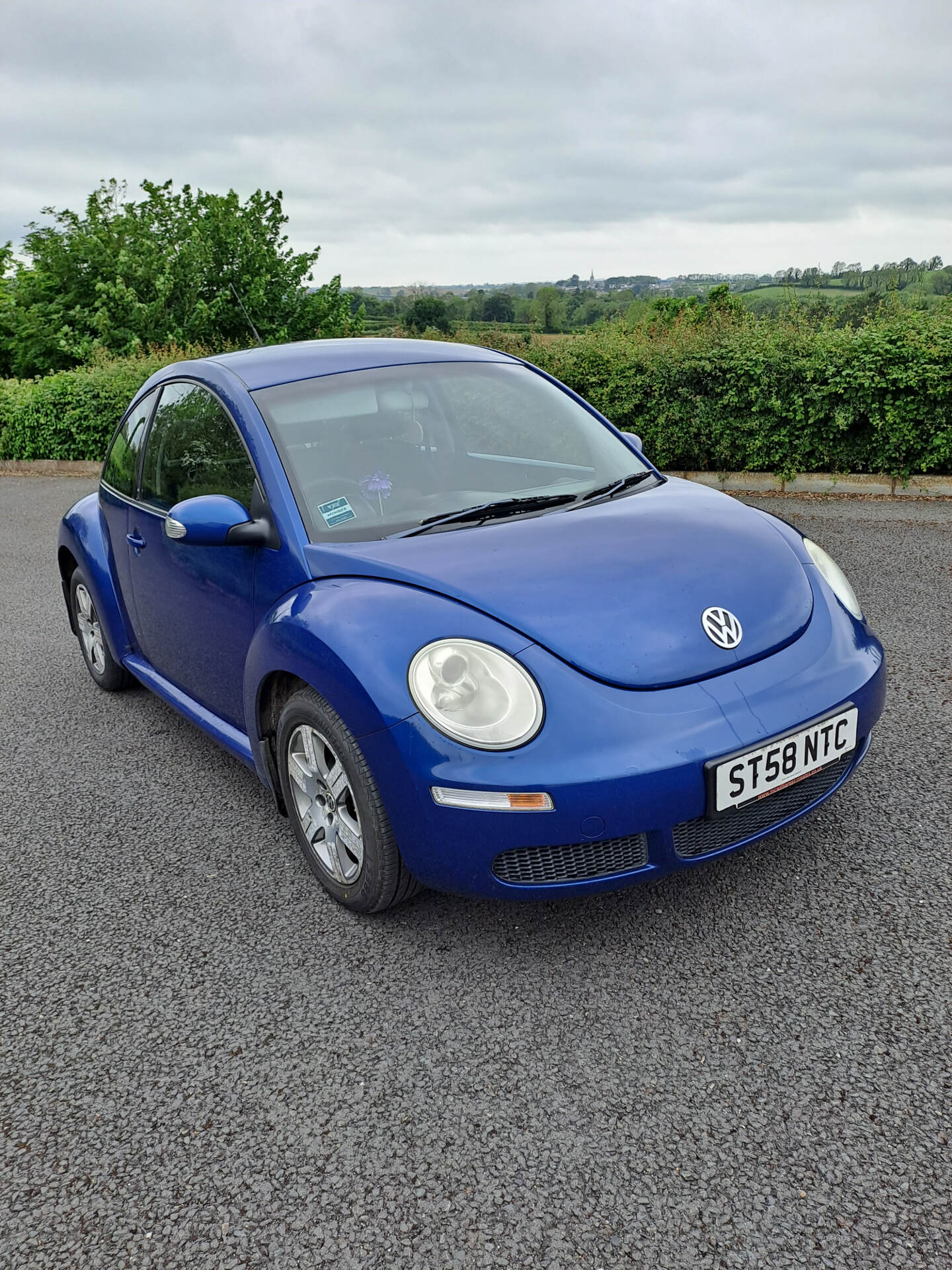 Volkswagen Beetle HATCHBACK in Armagh