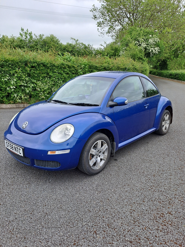 Volkswagen Beetle HATCHBACK in Armagh