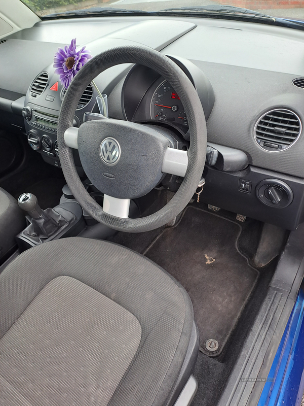 Volkswagen Beetle HATCHBACK in Armagh