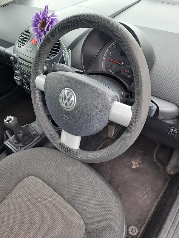 Volkswagen Beetle HATCHBACK in Armagh