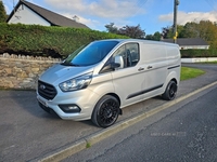 Ford Transit Custom 2.0 300 EcoBlue Trend L1 H1 Euro 6 (s/s) 5dr in Down