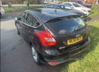 Ford Focus 1.6 125 Zetec 5dr in Down