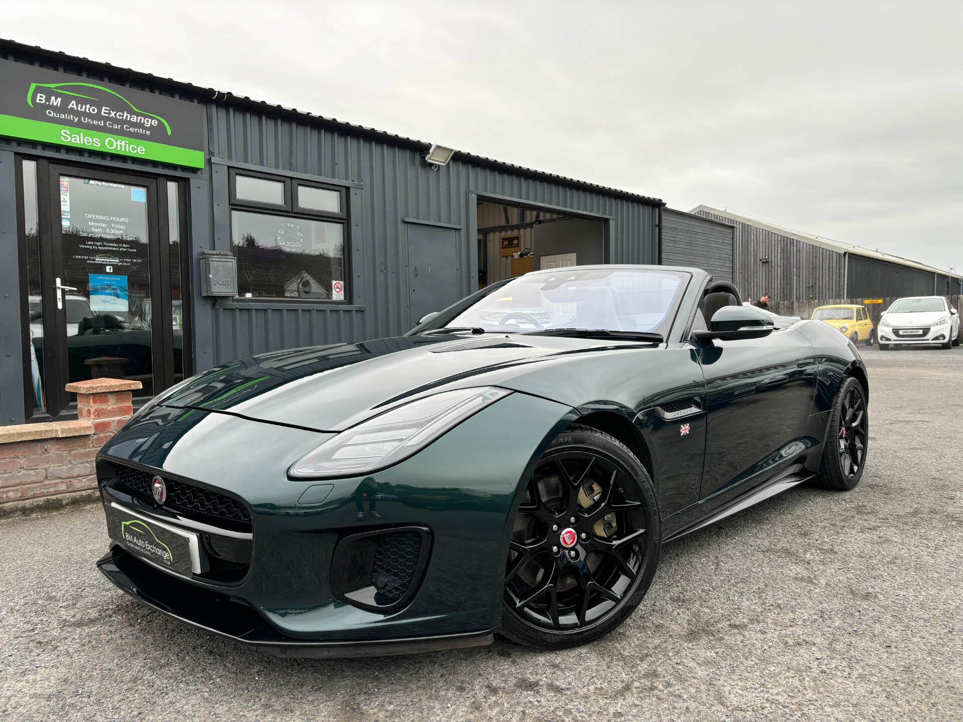 Jaguar F-Type CONVERTIBLE in Down