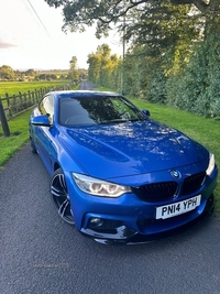 BMW 4 Series 420d M Sport 2dr Auto in Antrim