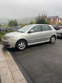 Toyota Corolla 1.6 VVT-i Colour Collection 5dr Auto in Antrim