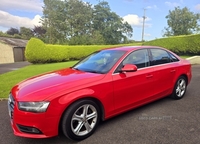 Audi A4 2.0 TDIe SE Technik 4dr in Fermanagh