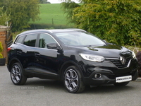 Renault Kadjar in Down