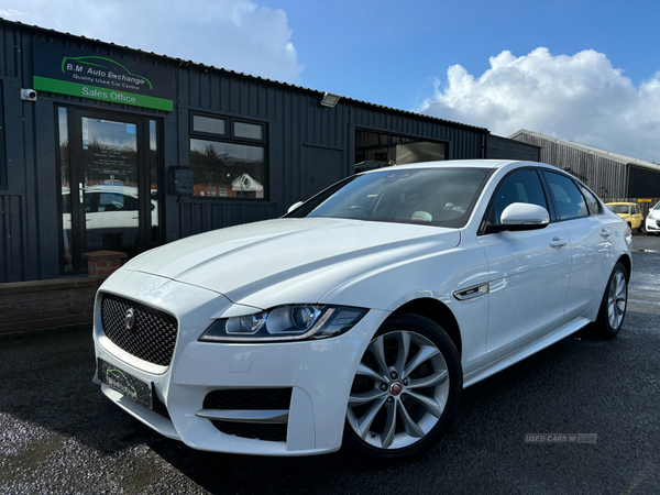 Jaguar XF DIESEL SALOON in Down